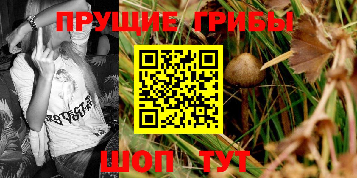 Галлюциногенные грибы MAGIC MUSHROOMS Дзержинский