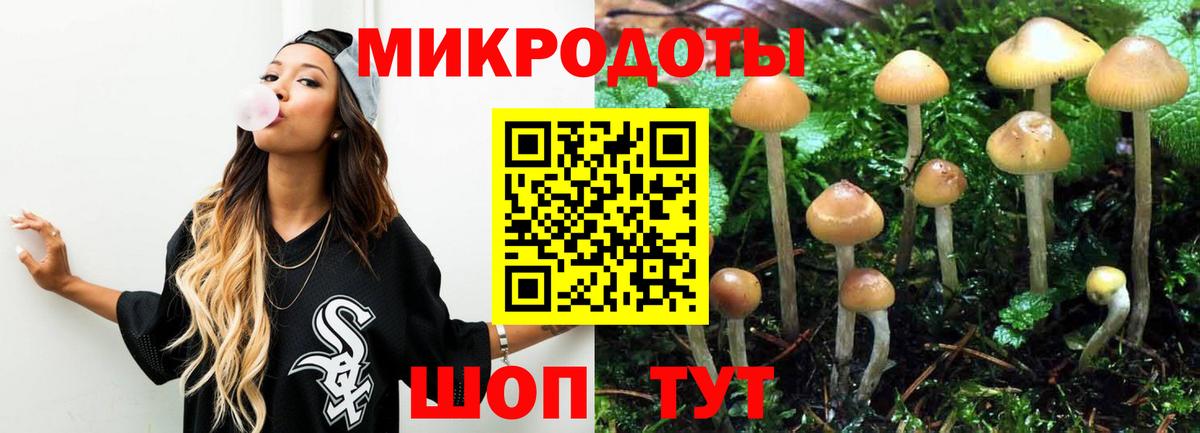 Псилоцибиновые грибы GOLDEN TEACHER  Вход с VPN  Дзержинский  Псилоцибиновые грибы Psilocybe 